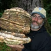 Paul Stamets y la nueva era de los hongos medicinales