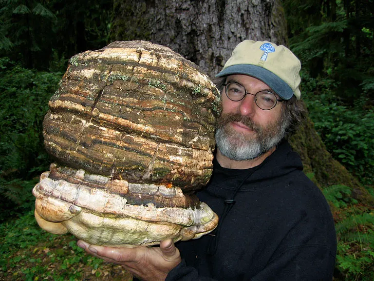 Paul Stamets y la nueva era de los hongos medicinales