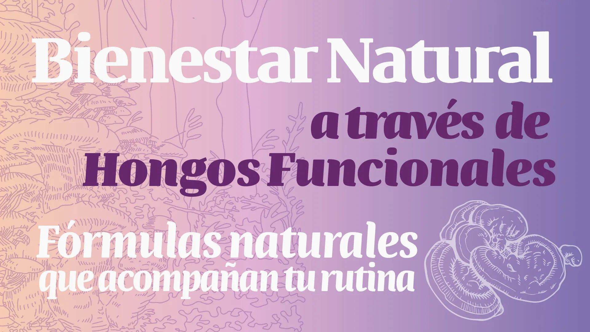 Suplementos de hongos funcionales Biotecni para bienestar natural