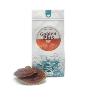 Goldenplus Biotecni – mezcla funcional con Ganoderma lucidum, quinua y cúrcuma en polvo natural