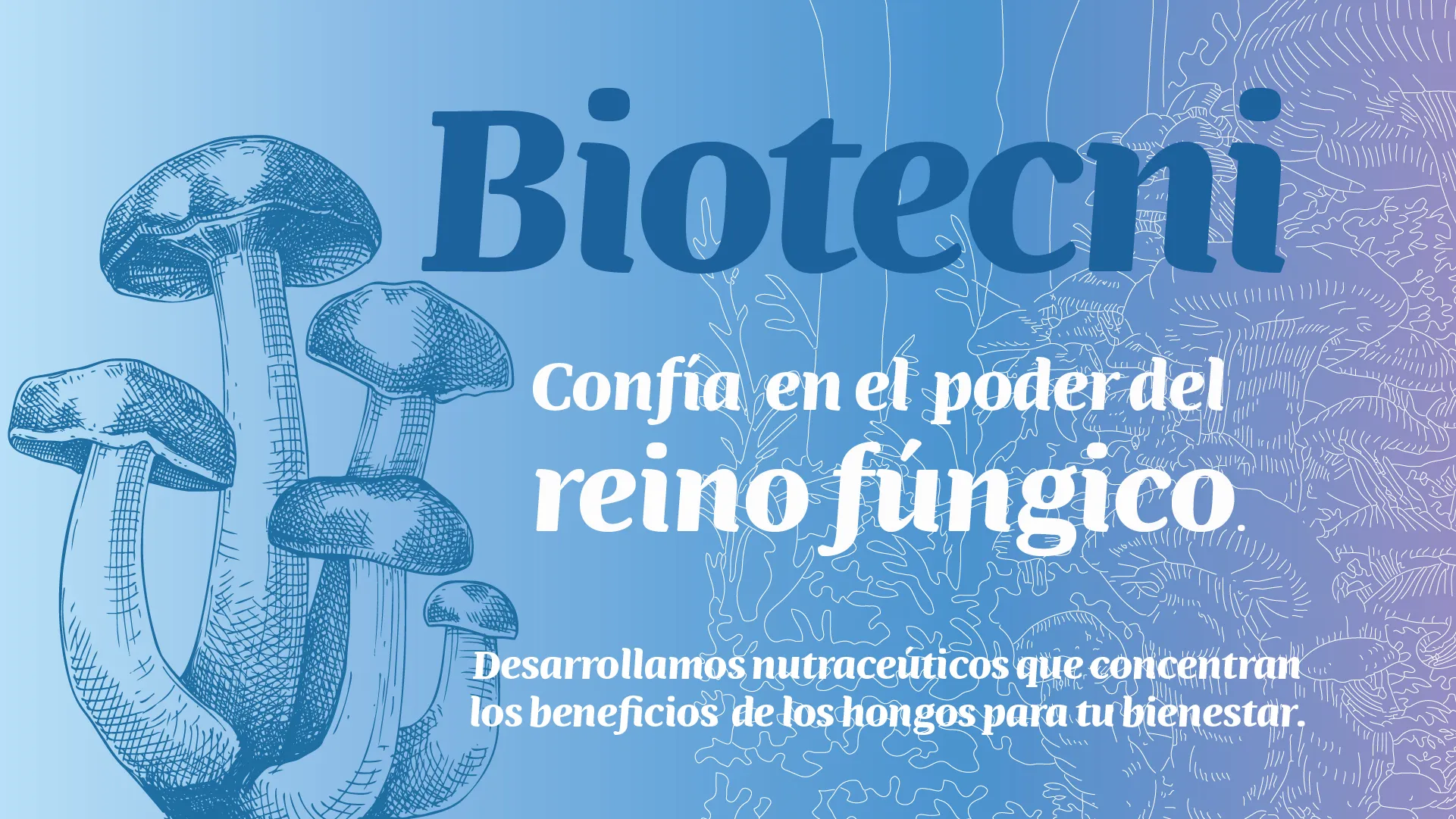 Hongos funcionales para el cuidado natural Biotecni