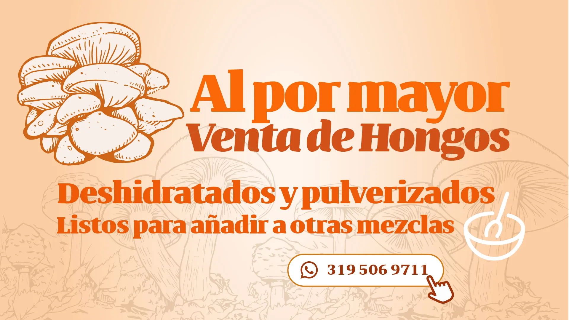 Venta de hongos funcionales al por mayor deshidratados y pulverizados