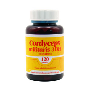Cordyceps militaris