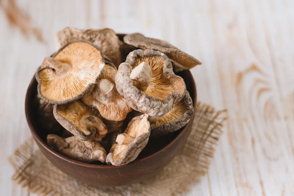 Compuestos bioactivos del hongo shiitake