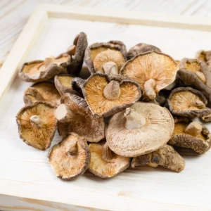Shiitake: propiedades y compuestos de este hongo funcional